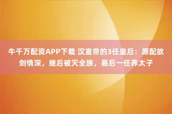 牛千万配资APP下载 汉宣帝的3任皇后:原配故剑情深,继后被灭全族,最后一任养太子