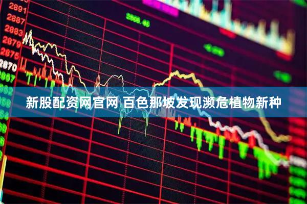 新股配资网官网 百色那坡发现濒危植物新种