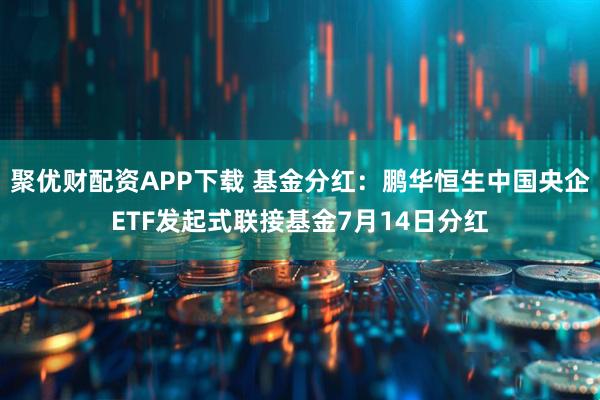 聚优财配资APP下载 基金分红：鹏华恒生中国央企ETF发起式联接基金7月14日分红