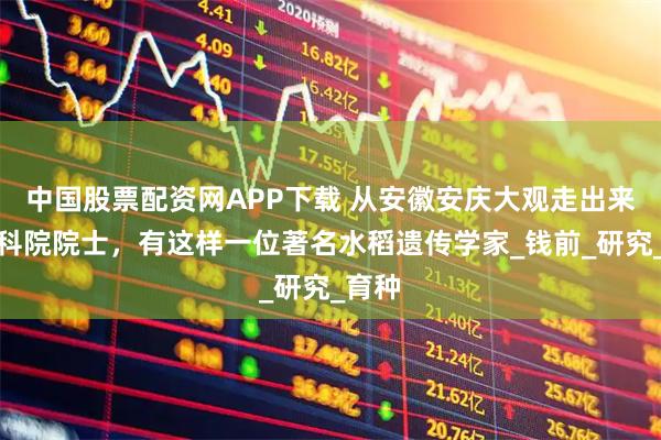 中国股票配资网APP下载 从安徽安庆大观走出来的中科院院士，有这样一位著名水稻遗传学家_钱前_研究_育种