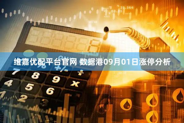 维嘉优配平台官网 数据港09月01日涨停分析